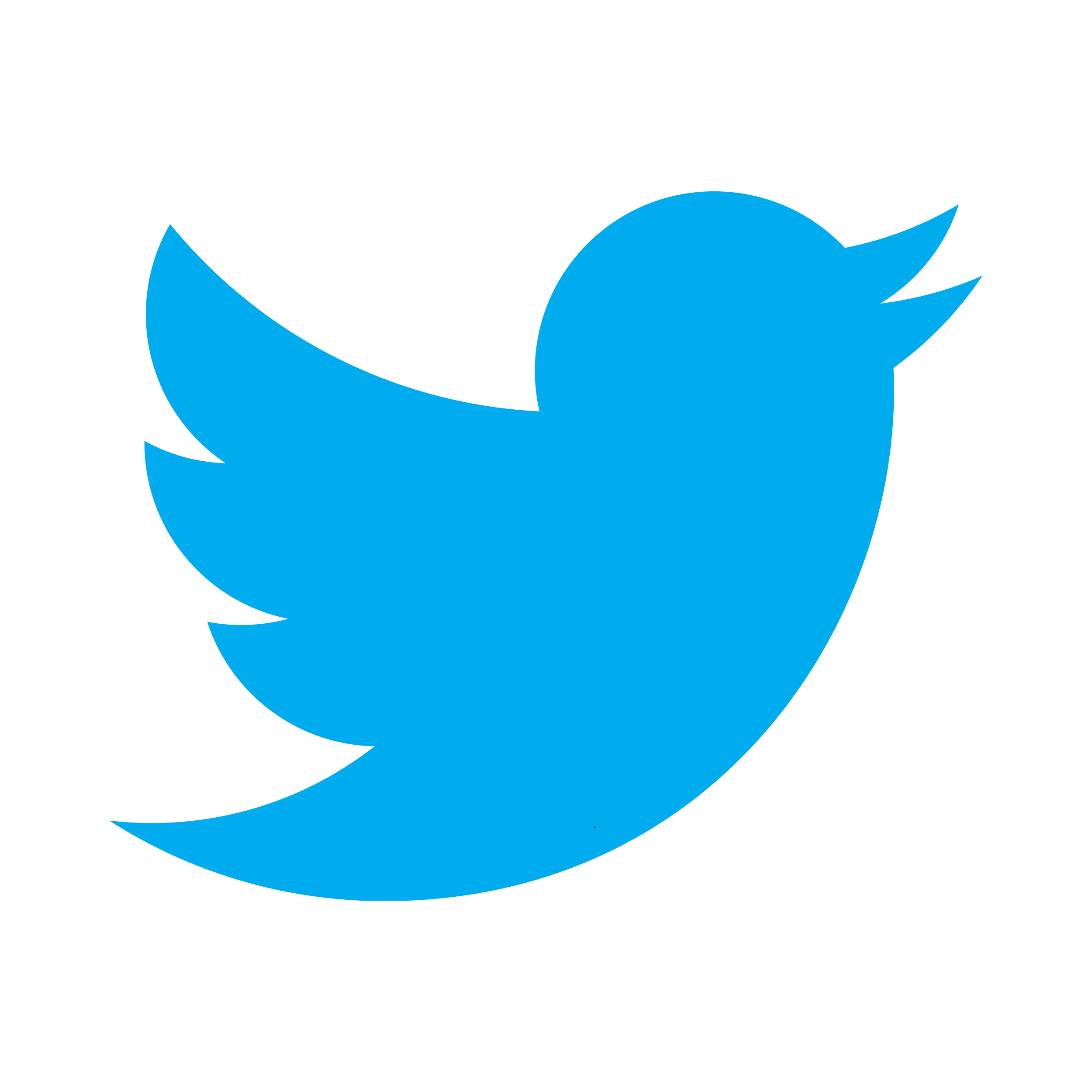 twitter logo.png