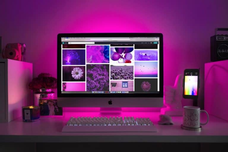Website and Social Media Manager needed